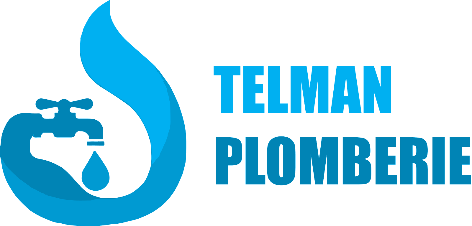 Logo de Plombier Lyon - Telman Plomberie